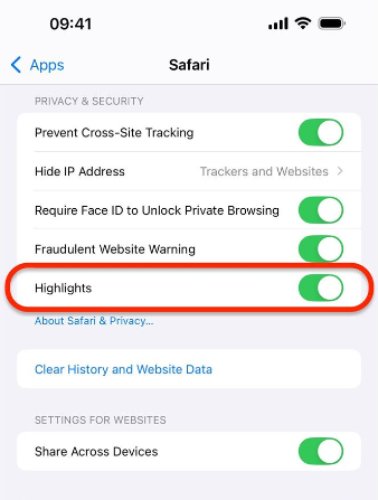     iOS-18-Safari -Not-Working-Highlight