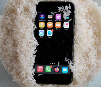iPhoneはご飯に入れます
