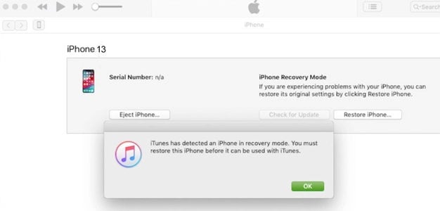 iTunesは回復モードを検出します